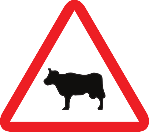 Warning of animals on the road