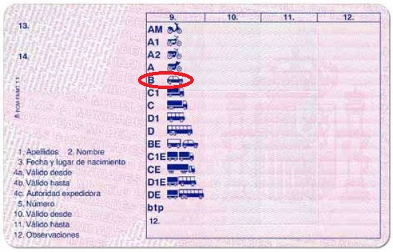 Category B Driving Licence