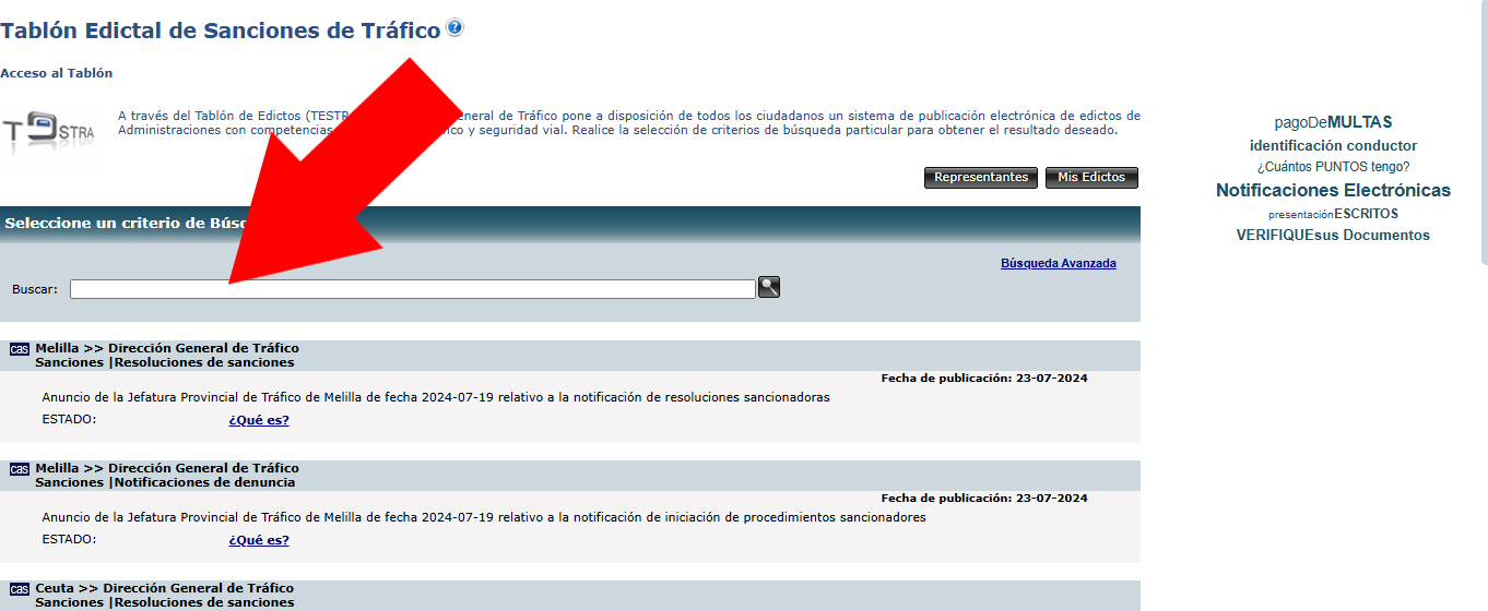 Enter your search criteria to look for traffic fines