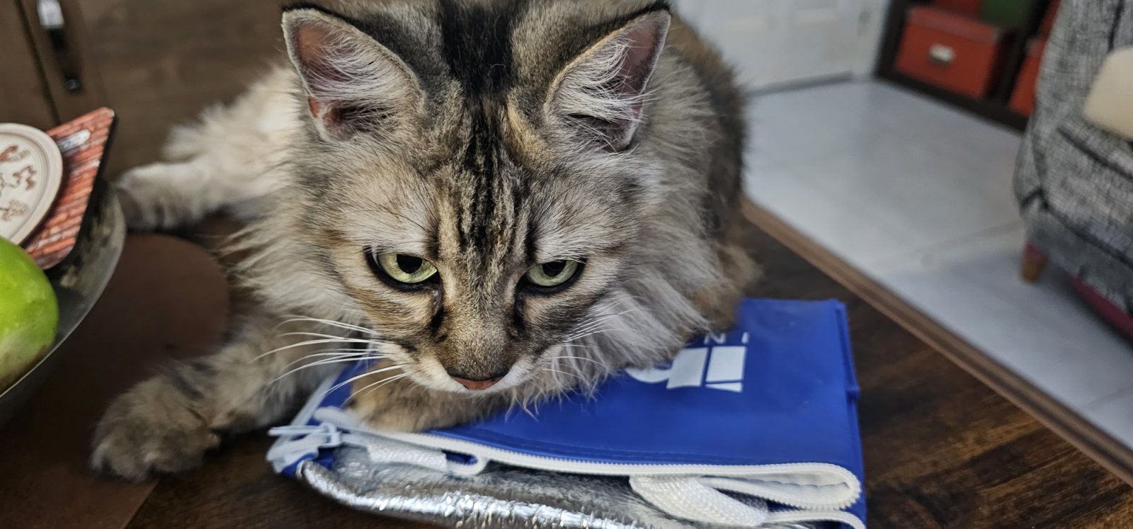 N332 at Expo Torrevieja 2025