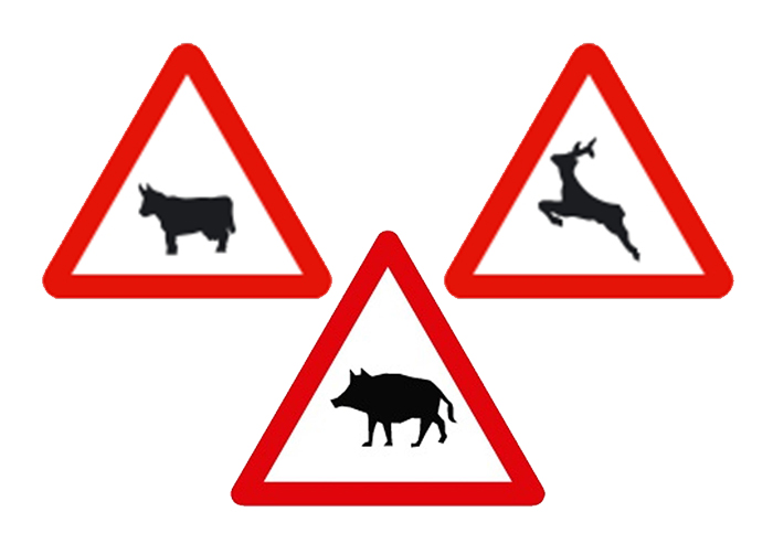 Animal warning road signs in Spain