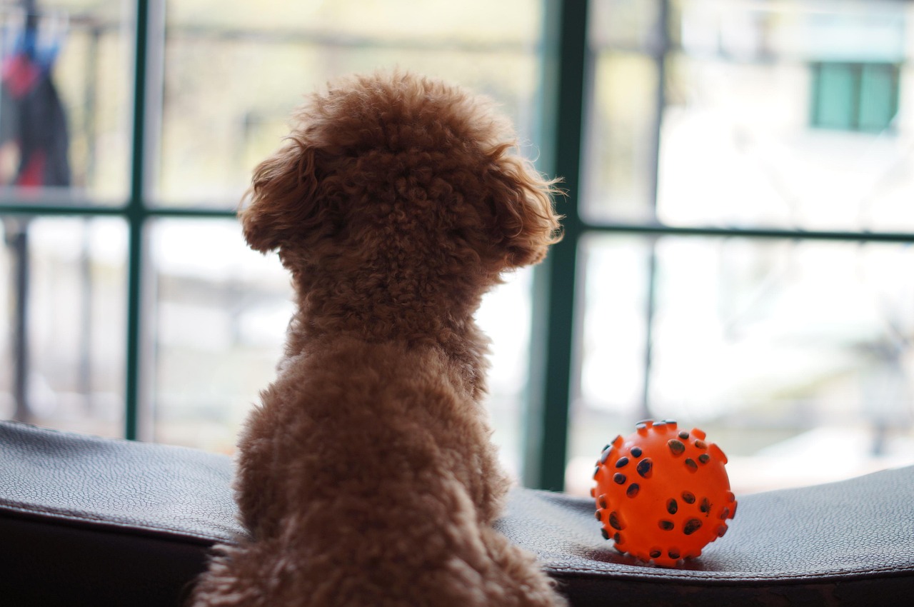 drink driving awareness Spain